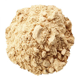 Bacillus Coagulans