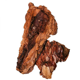 Pine Bark Extract
