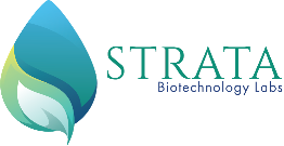 Strata