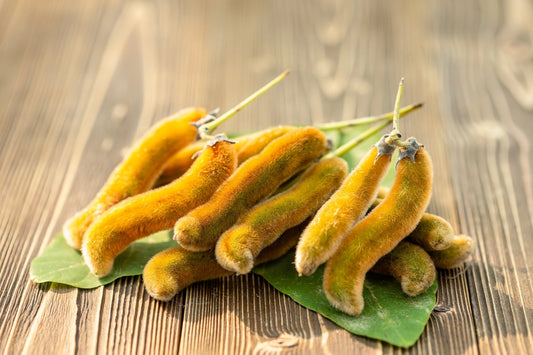 Mucuna Pruriens Benefits In Nootropic Use