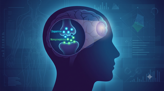 Behind Zero-In by The ROOT Brands: A Neurochemical Look at NALT and ADHD Brain Strain