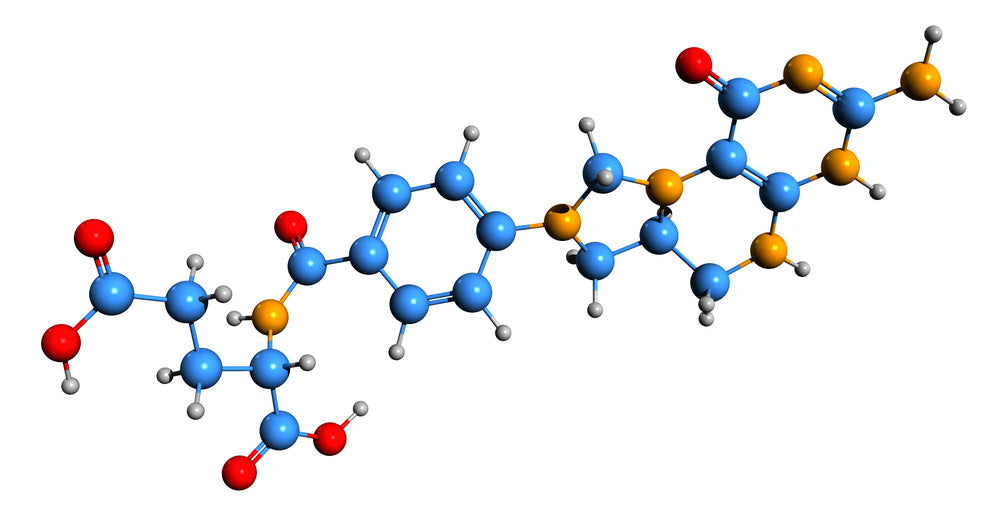 What is the Genetic Methylation Test