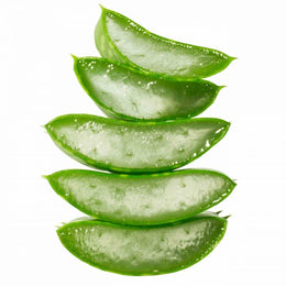 Aloe Vera / Aloe Vera Gel Powder