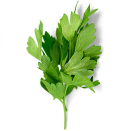 Parsley